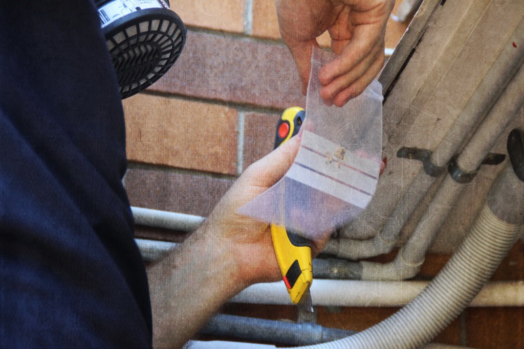 Sample Asbestos