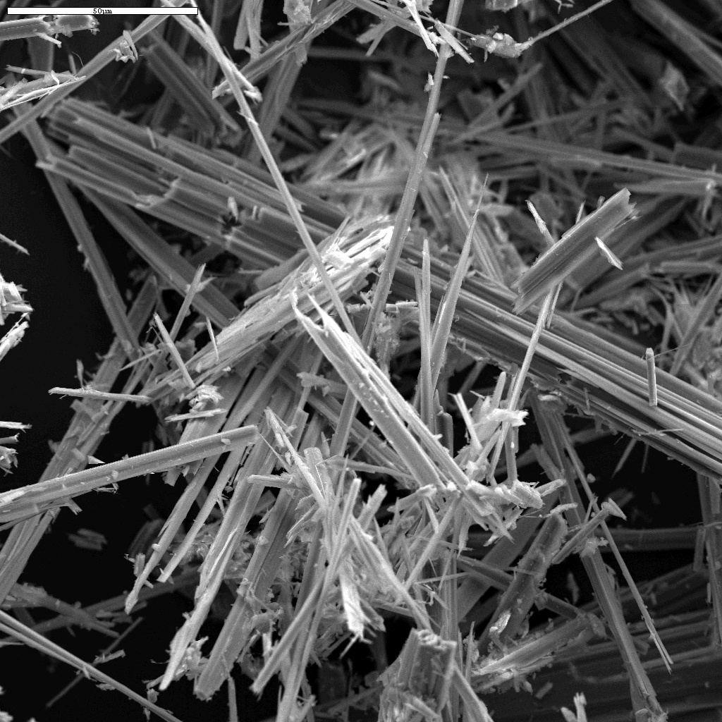 Fibres under Microscope